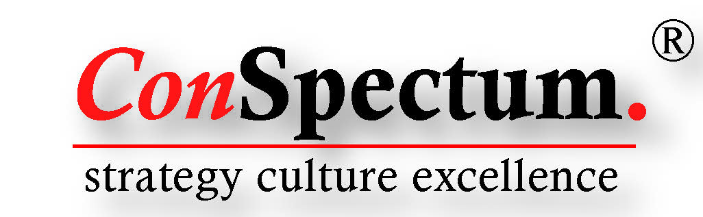 Geschäftsführer, CEO, CMO, CSO Interim 